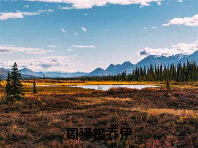周泽楷乔伊全文小说(乔伊周泽楷)全文阅读-周泽楷乔伊在线小说免费阅读