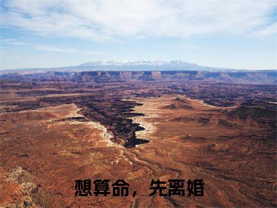宋觅司祁承（想算命，先离婚）小说免费下载全本-宋觅司祁承（想算命，先离婚完整版）免费阅读