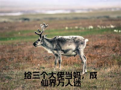 给三个大佬当妈,成仙界万人迷全文免费阅读_(赵玥玥免费阅读无弹窗)赵玥玥最新章节列表笔趣阁