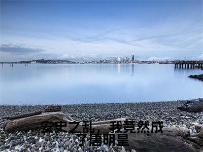 安史之乱，我竟然成了唐明皇（张天望）小说全文免费阅读无弹窗_（张天望）安史之乱，我竟然成了唐明皇小说全文免费阅读最新章节列表笔趣阁