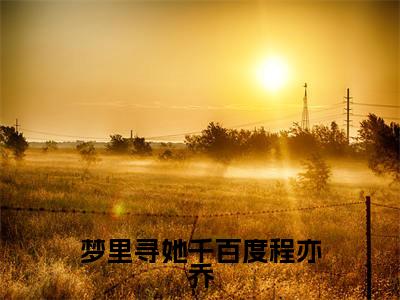 梦里寻她千百度程亦乔小说全文(程亦乔)全文免费阅读无弹窗大结局-(程亦乔)无弹窗免费阅读大结局