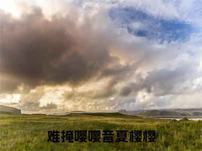 （难掩嘤嘤音夏樱樱）路闲夏樱樱全文免费阅读无弹窗完整版_路闲夏樱樱小说全文免费阅读