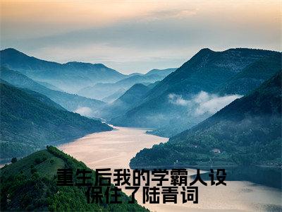 重生后我的学霸人设保住了陆青词高赞小说（宋挽陆青词）完结阅读_重生后我的学霸人设保住了陆青词全文完整版免费阅读最新章节列表