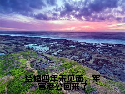 陆惊蛰夏青柠小说结婚四年未见面,军官老公回来了完整版阅读结婚四年未见面,军官老公回来了全文在线赏析