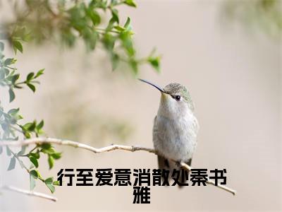 行至爱意消散处秦书雅小说全文免费阅读无弹窗-(江言傅秦书雅阅读无弹窗)穿越小说免费阅读_笔趣阁