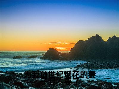 许鸣星免费小说，为我放世纪烟花的妻子我不要了全文免费阅读无弹窗大结局