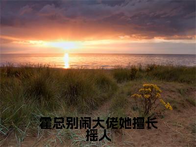 霍总别闹大佬她擅长摇人（孟渡灵霍爵）全文无弹窗大结局_霍总别闹大佬她擅长摇人在线阅读无弹窗最新章节列表_笔趣阁