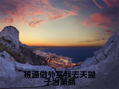 被逼做外室我去夫抛子当豪商小说最新试读_叶惜是（被逼做外室我去夫抛子当豪商全文完整版免费阅读）_笔趣阁