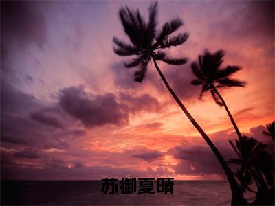 热文苏御夏晴在线免费读-苏御夏晴的小说（苏御夏晴）完整版免费读全文