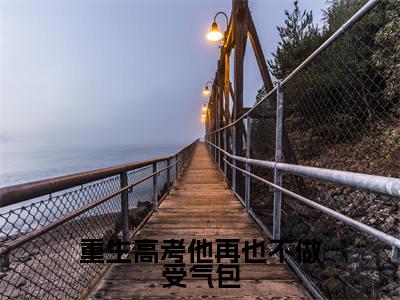 林瑾年顾若清(重生高考他再也不做受气包)全文免费阅读无弹窗大结局_(林瑾年顾若清)重生高考他再也不做受气包章节列表