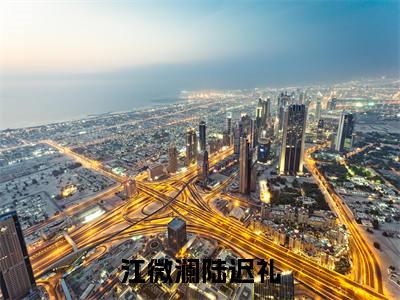 江微澜陆迟礼（江微澜陆迟礼）小说精彩免费内容_江微澜陆迟礼最新章节全文阅读（江微澜陆迟礼）
