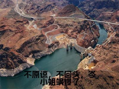 不原谅，不回头，岑小姐飒爆了（岑落雪司辰乾）全网首发最新小说-主角岑落雪司辰乾全文在线免费阅读