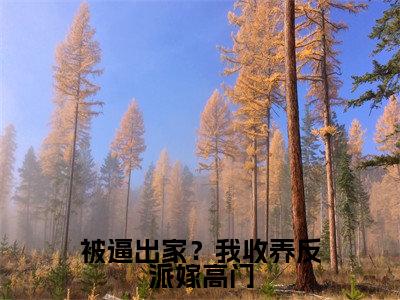 【全文】《曹舒月》小说txt在线阅读_（曹舒月全章节）-曹舒月_被逼出家？我收养反派嫁高门在线阅读