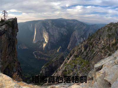 错将真心落梧桐（宋时礼）抖音热推小说全集无删减，宋时礼小说在线免费阅读大结局