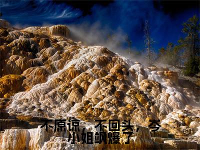 岑落雪司辰乾（不原谅，不回头，岑小姐飒爆了）全文免费阅读无弹窗大结局_不原谅，不回头，岑小姐飒爆了_笔趣阁