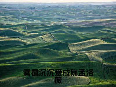 顾薄聿孟洛薇小说全文（雾霭沉沉爱成殇孟洛薇）在线阅读-顾薄聿孟洛薇全文免费阅读无弹窗大结局（顾薄聿孟洛薇后续+免费）