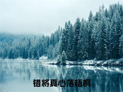 错将真心落梧桐宋时礼全文免费阅读无弹窗大结局_宋时礼小说免费阅读