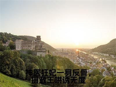 神医狂妃一身反骨，摄政王哄诱无度（北辰渊林汐澜）免费阅读无弹窗大结局_神医狂妃一身反骨，摄政王哄诱无度小说（北辰渊林汐澜）免费阅读最新章节列表