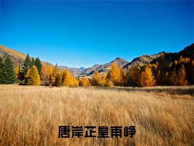 唐岸芷皇甫峥（唐岸芷皇甫峥）完整版小说阅读大结局_唐岸芷皇甫峥（唐岸芷皇甫峥）全文免费阅读笔趣阁