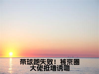 萧京野时今棠(带球跑失败!被京圈大佬抵墙诱吻)免费小说完整版阅读-(萧京野时今棠)最新章节在线阅读