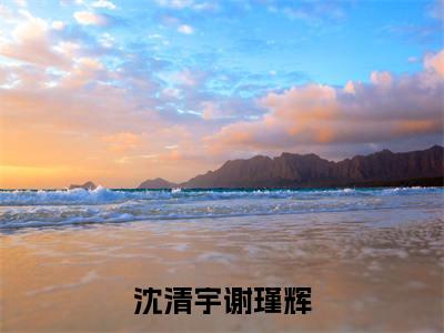 沈清宇谢瑾辉全文免费阅读无弹窗大结局-沈清宇谢瑾辉在线阅读