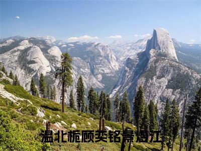温北栀顾奕铭景煜江（顾奕铭景煜江温北栀）全文免费阅读无弹窗大结局_（顾奕铭景煜江温北栀）顾奕铭景煜江温北栀最新章节列表