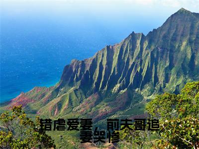 错虐爱妻，前夫哥追妻哭惨正版小说最新章节在线阅读-小说林苒秦亿洲错虐爱妻，前夫哥追妻哭惨已完结全集大结局