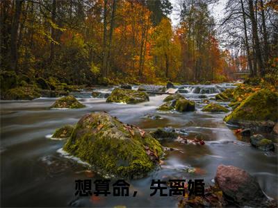 宋觅司祁承(想算命,先离婚)免费阅读无弹窗大结局_(想算命,先离婚)宋觅司祁承最新章节列表_笔趣阁