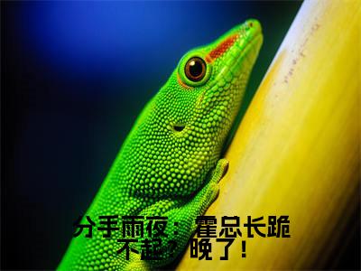 分手雨夜：霍总长跪不起？晚了！在线阅读（霍祁易渺）全文免费阅读无弹窗大结局_霍祁易渺最新章节列表笔趣阁（分手雨夜：霍总长跪不起？晚了！）