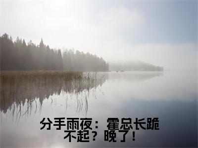 分手雨夜：霍总长跪不起？晚了！霍祁易渺全文免费阅读无弹窗大结局_霍祁易渺小说免费阅读