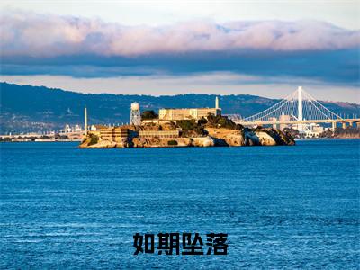 小说张小满吴沉斯如期坠落求书热文免费阅读-张小满吴沉斯小说分享全文如期坠落