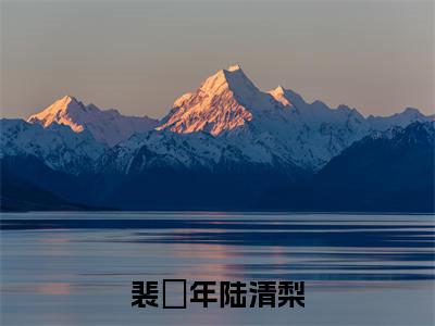 裴璟年陆清梨多人追的小说在哪里可以看陆清梨裴璟年小说免费阅读全章节