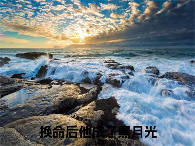 上官清焰谢夕苒免费小说（换命后他成了黑月光）全文无弹窗阅读上官清焰谢夕苒大结局免费阅读无弹窗