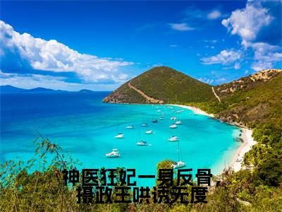 林汐澜北辰渊小说全文-神医狂妃一身反骨,摄政王哄诱无度精选小说林汐澜北辰渊大结局阅读