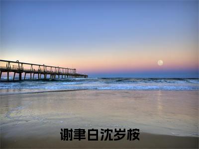 小说(谢聿白沈岁桉)_沈岁桉谢聿白全文阅读_小说谢聿白沈岁桉免费阅读(沈岁桉谢聿白)笔趣阁
