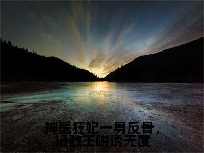 北辰渊林汐澜txt（神医狂妃一身反骨，摄政王哄诱无度）全文免费阅读无弹窗大结局_北辰渊林汐澜最新章节列表_笔趣阁（神医狂妃一身反骨，摄政王哄诱无度）