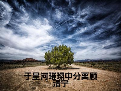 陆绎顾清宁是哪部小说的主角，于星河璀璨中分离顾清宁全文在线赏析