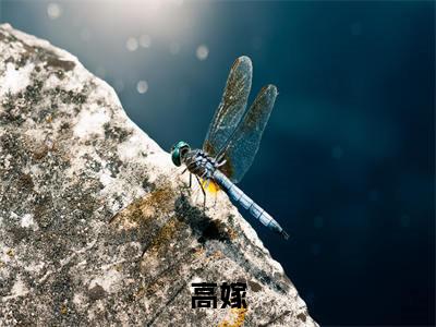 高嫁(萧暄顾昙)全文免费阅读无弹窗大结局_高嫁最新章节列表
