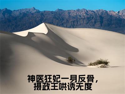 神医狂妃一身反骨，摄政王哄诱无度（北辰渊林汐澜）全文阅读无弹窗大结局_神医狂妃一身反骨，摄政王哄诱无度免费阅读无弹窗最新章节列表