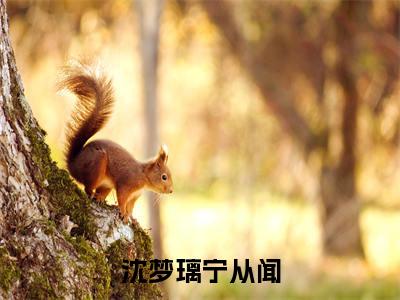 (沈梦璃宁从闻)全文免费阅读-沈梦璃宁从闻(宁从闻沈梦璃)最新章节列表阅读
