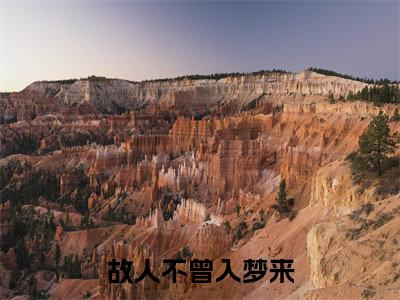 故人不曾入梦来（顾语涵姜新阳）全文免费大结局，故人不曾入梦来结局在线阅读