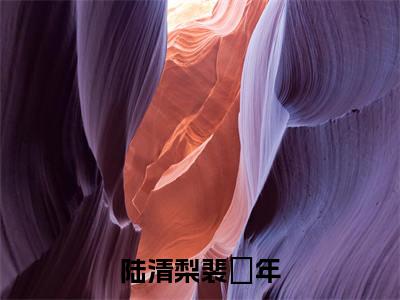 裴璟年陆清梨（陆清梨裴璟年）全文免费阅读无弹窗大结局_裴璟年陆清梨陆清梨裴璟年_笔趣阁