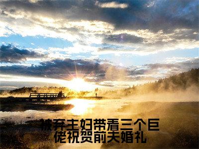 小说被弃主妇带着三个巨佬祝贺前夫婚礼在线阅读-正版小说《傅龙庭》被弃主妇带着三个巨佬祝贺前夫婚礼全文阅读