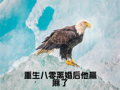 重生八零离婚后他赢麻了（孟延赫贺知琳）小说全文免费阅读无弹窗_（孟延赫贺知琳全文阅读）重生八零离婚后他赢麻了免费阅读大结局