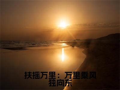 扶摇万里:万里乘风独向东小说贺婉无弹窗免费阅读-最新小说扶摇万里:万里乘风独向东(贺婉)全文阅读