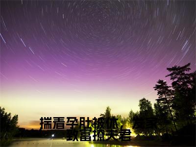 揣着孕肚被休，发家致富撩夫君全文（冷清霖柳恬恬）全文免费阅读无弹窗大结局_（冷清霖柳恬恬）最新章节列表