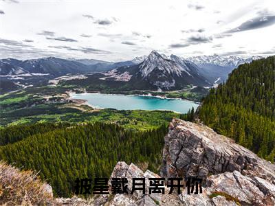 披星戴月离开你免费阅读无弹窗,小说林语鸢大结局全文免费阅读