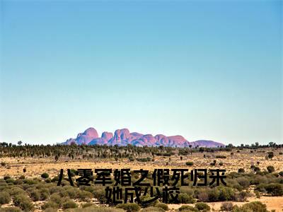 （八零军婚之假死归来她成少校）在线阅读-主角是（韩小沫傅以臻）的小说八零军婚之假死归来她成少校全文赏析最新章节列表_笔趣阁