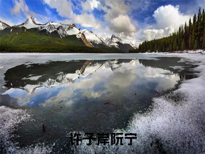 许子岸阮宁(阮宁许子岸)全文免费阅读无弹窗大结局_(阮宁许子岸)免费阅读无弹窗最新章节列表