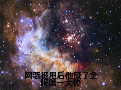 网恋被甩后他成了全服第一大佬是什么小说-秦聿凛黎诗棠免费小说在线阅读